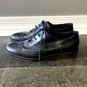 Aquatalia wingtip lace up dress shoes sz 10